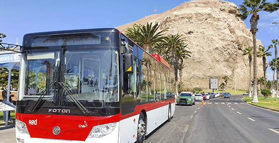 Arica será la primera ciudad del país en contar con el transporte público mayor 100% eléctrico
